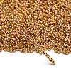 TOHO 11/0 Round Beads X-SEED-TR11-0722-3