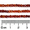 Natural Carnelian Beads Strands G-Q002-C01-02-2