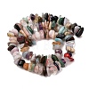 Natural Mixed Stone Beads Strands G-Z155-B03-01-3
