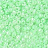Glass Seed Beads SEED-A011-4mm-144-3