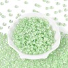 FGB Inside Colours Transparent Glass Seed Beads SEED-T009-01B-1