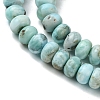 Natural Larimar Beads Strands G-H004-A01-02-3