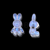 Transparent Acrylic Beads X-OACR-N008-172F-4