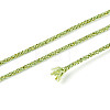 100M Segment Dyed Round Polyester Braided Cords OCOR-N009-03B-06-2