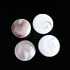 Natural Conch Shells Round Decorations PW-WG89460-01-4