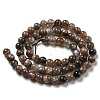 Natural Black Moonstone Beads Strands G-A219-A01-03-3