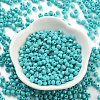 Baking Paint Glass Seed Beads X1-SEED-A032-02H-2