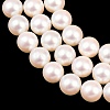 Electroplated Shell Pearl Beads Strands BSHE-C011-01D-3