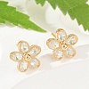 Brass Earring Studs KK-S348-421-1