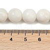 Natural White Shell Beads Strands BSHE-U002-01-5