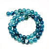 Natural Agate Beads Strands G-R003-03-2