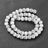 Cat Eye Beads G-V002-A01-01-2