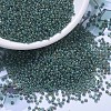 MIYUKI Round Rocailles Beads SEED-JP0008-RR4506-1