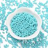 Baking Paint Glass Seed Beads SEED-A033-04P-2