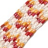 Electroplate Glass Beads Strands EGLA-D300-05-06-1