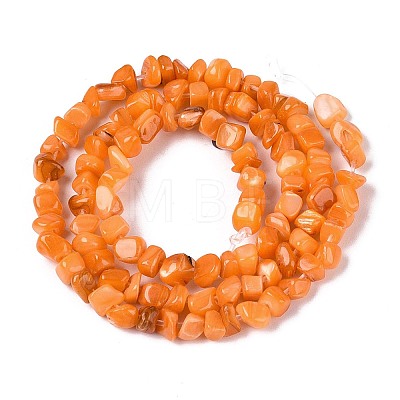 Natural Freshwater Shell Beads Strands SHEL-N037-04F-1