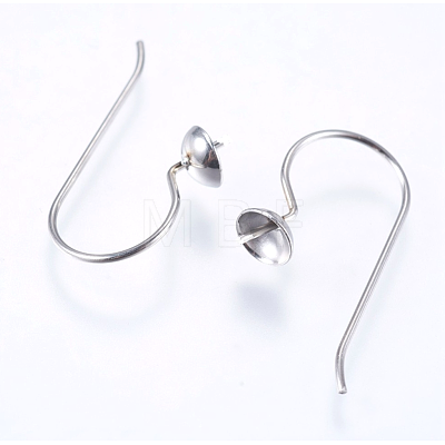 304 Stainless Steel Earring Hooks STAS-I069-41-1