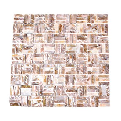 Natural Freshwater Shell Mosaic Tile Cabochons SHEL-Q029-02-1