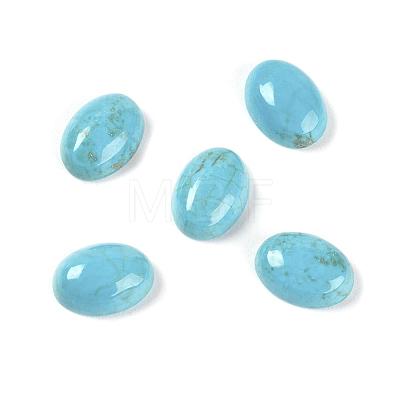 Natural Howlite Cabochons X-TURQ-L030-02-1