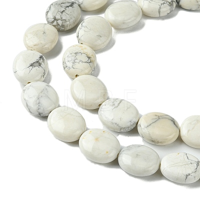 Natural Howlite Beads Strands G-K365-B14-02-1