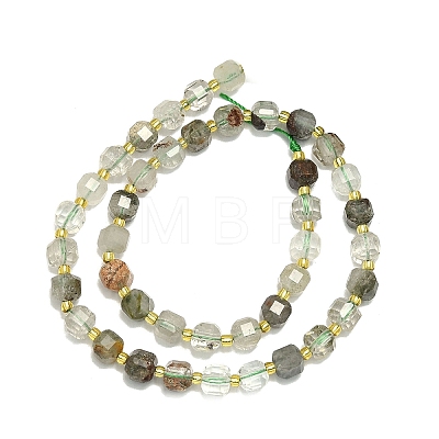 Natural Lodolite Quartz Beads Strand G-I376-D05-01-1