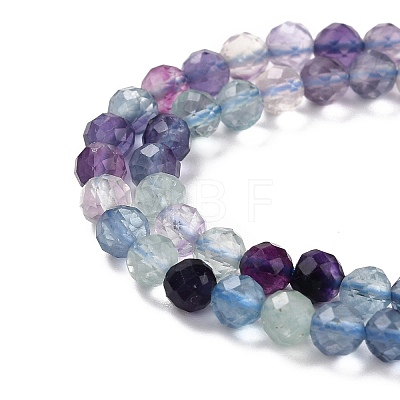 Natural Fluorite Beads Strands G-K315-B01-1