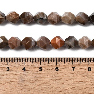 Natural Petrified Wood Beads Strands G-Z119-A21-02-1