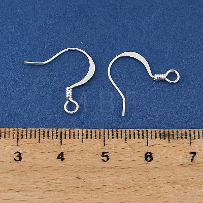 Brass Earring Hooks KK-H258-06E-S-1