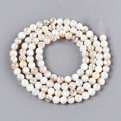 AB Color Natural Freshwater Shell Beads Strands BSHE-T014-40D-1