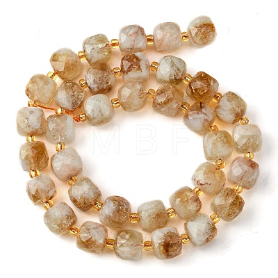 Natural Citrine Beads Strands G-Q010-A24-01-1