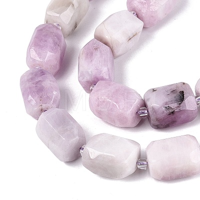 Natural Kunzite Beads Strands G-N362-07A-08-1