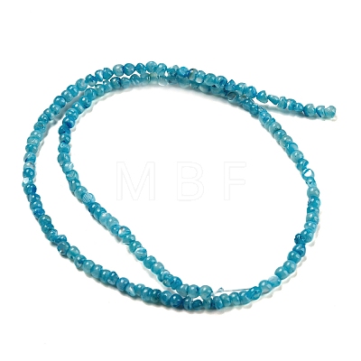 Natural White Shell Dyed Beads Strands BSHE-Z005-03B-1