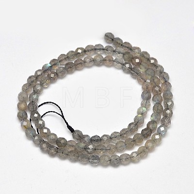 Faceted Round Natural Labradorite Bead Strands G-F289-09-1