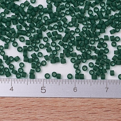 MIYUKI Delica Beads X-SEED-J020-DB0767-1