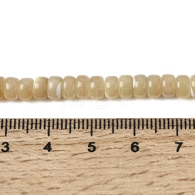 Natural Trochid Shell/Trochus Shell Beads Strands SSHEL-S266-019B-03-1