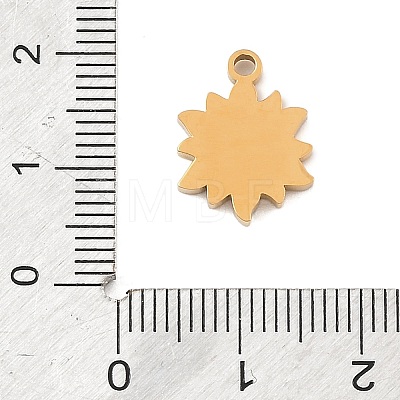 304 Stainless Steel Rhinestone Pendants RB-CBAB4B7-01B-G-1