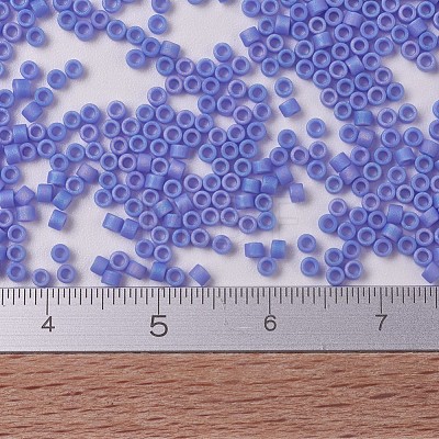 MIYUKI Delica Beads Small SEED-X0054-DBS0881-1
