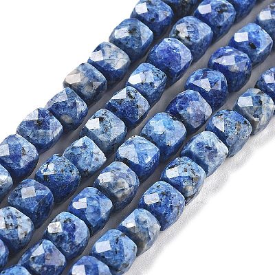 Dyed Natural Sesame Jasper Beads Strands G-C179-B02-01-1