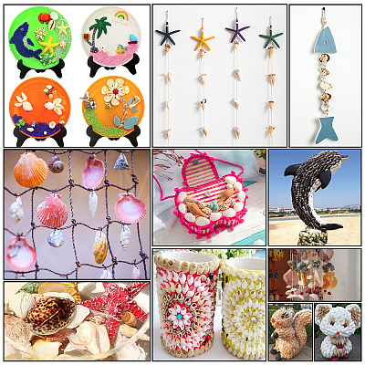 Natural Sea Shell Beads Kits SSHEL-PH0002-51-1