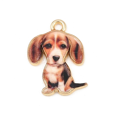 Alloy Pendants FIND-B062-07A-1