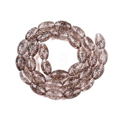 Transparent Crackle Glass Beads Strands GLAA-S192-B-010B-1