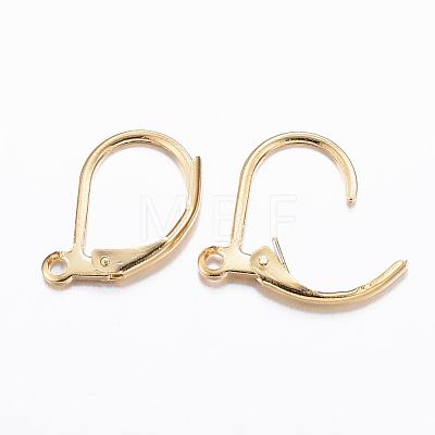 304 Stainless Steel Leverback Earring Findings X-STAS-P166-12G-1