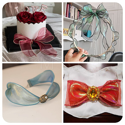 2 Rolls Polyester Mesh Ribbons SRIB-TA0003-42A-1