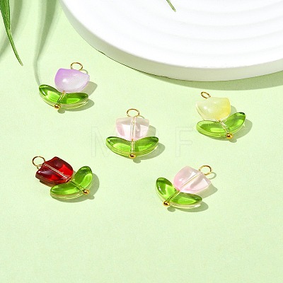 Handmade Lampwork Pendants PALLOY-YW028-01-1