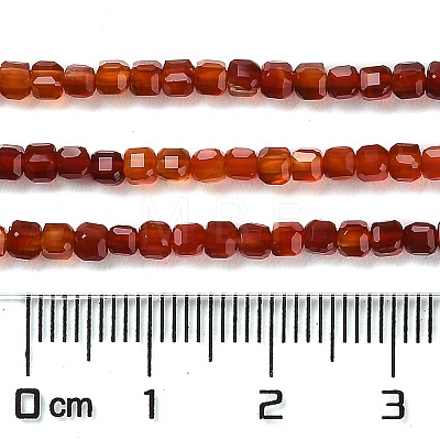 Natural Carnelian Beads Strands G-Q002-C01-02-1