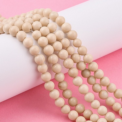 Natural Fossil Beads Strands LS-G-E110-6mm-2-1