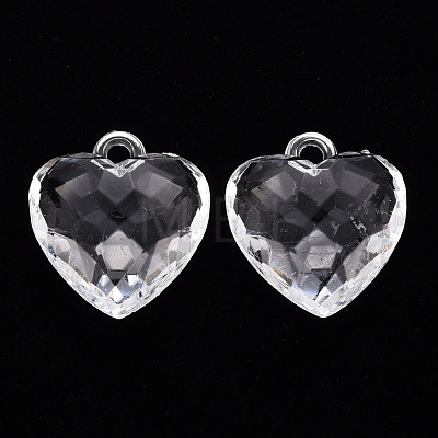 Transparent Acrylic Pendants TACR-T024-03B-205-1