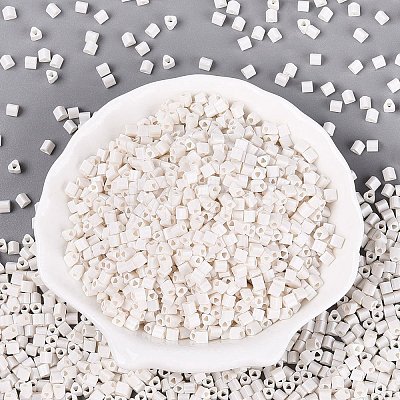 FGB Baking Paint Glass Seed Beads SEED-Q040-09A-01-1
