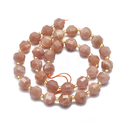 Natural Sunstone Beads Strands G-K303-A08-10mm-1