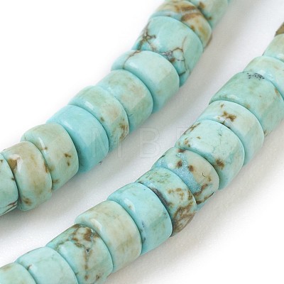 Natural Howlite Beads Strands X-G-P398-B01-1